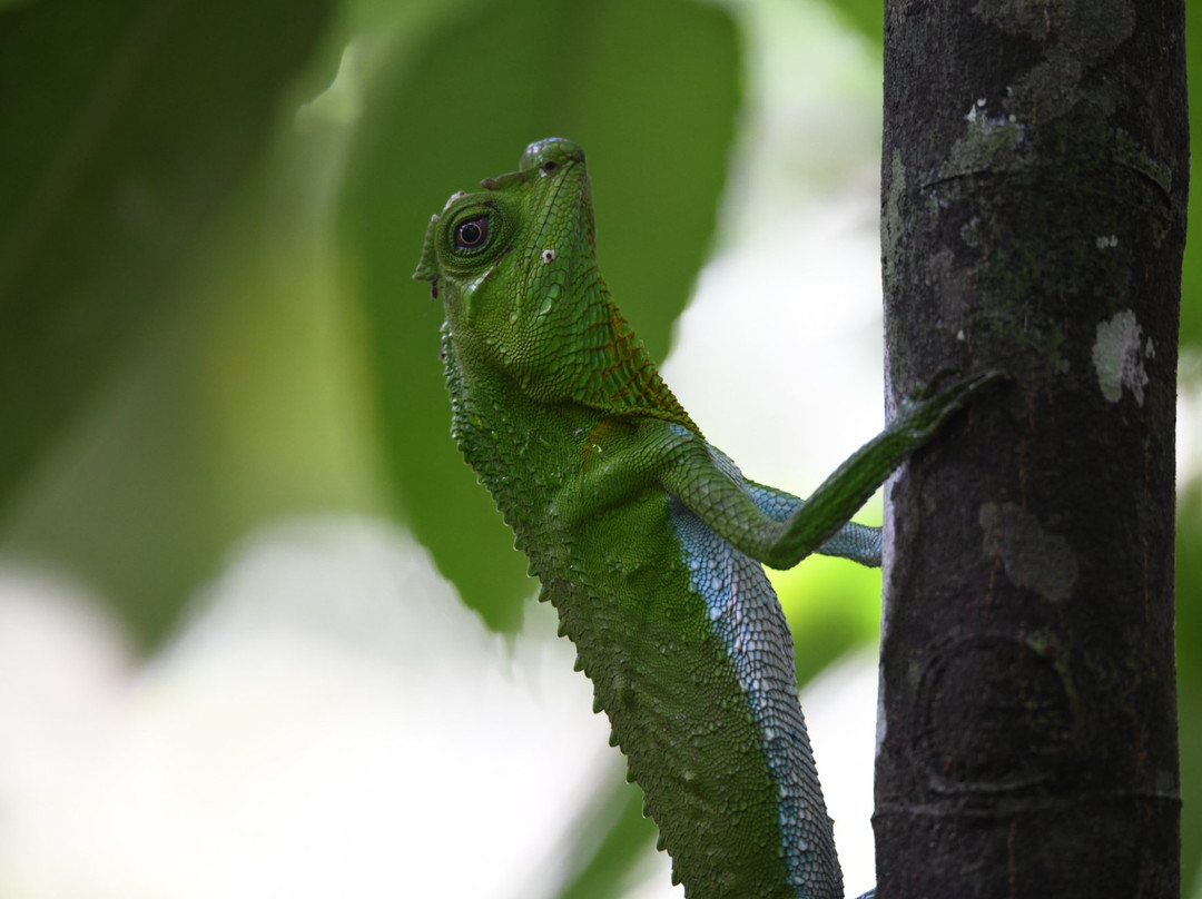 Birds Paradise Hotel主图