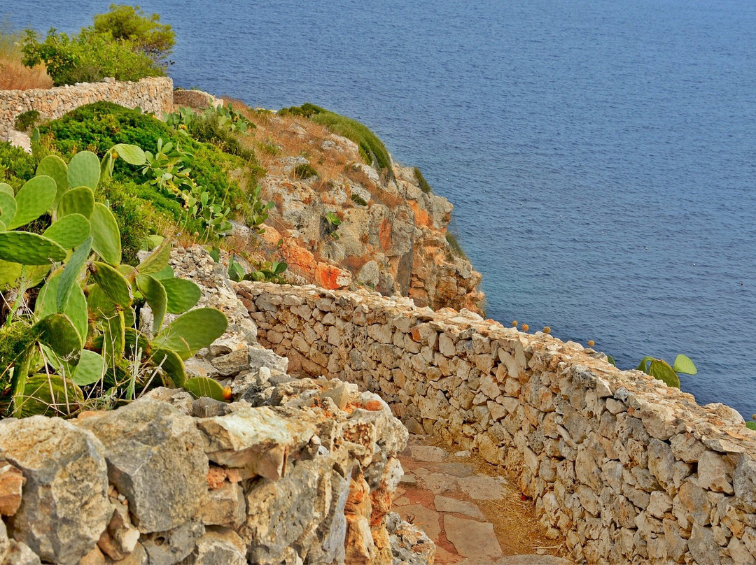 Le Fiche d’India主图