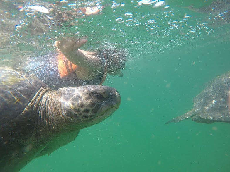 Puerto Velero-Organos必去景点