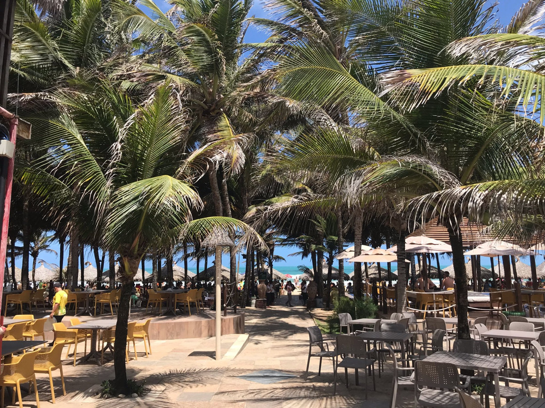 Crocobeach-福塔莱萨必去景点