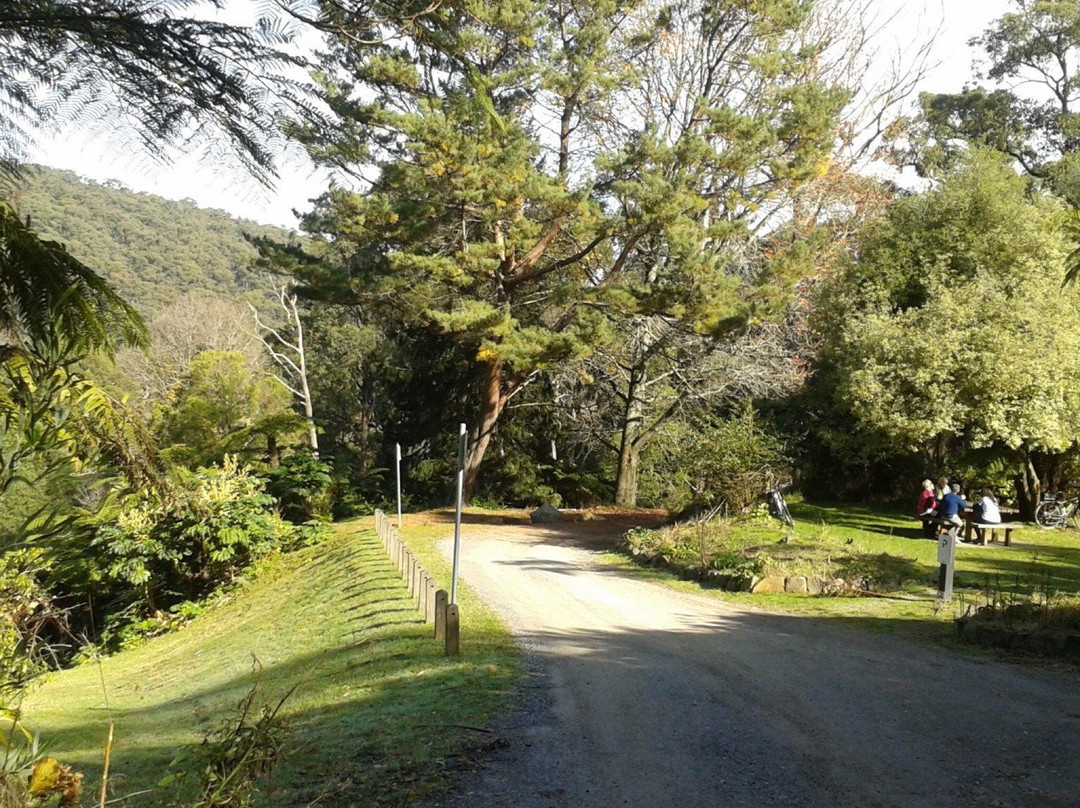 Doongalla Homestead Picnic Ground景点图片