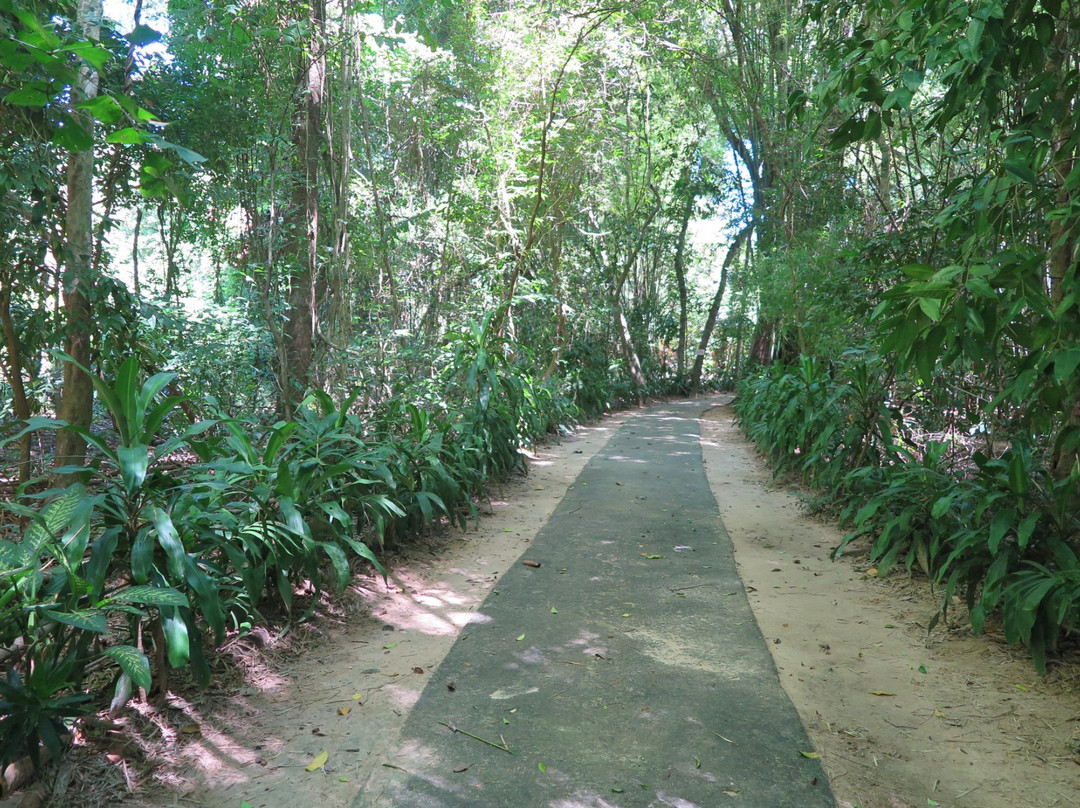 Wat Ban Tam Yae景点图片