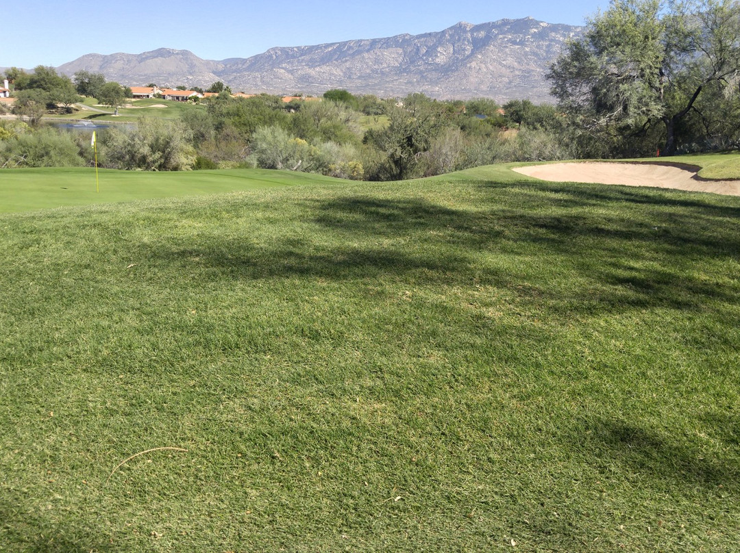 The Views Golf Club at Oro Valley-Oro Valley必去景点