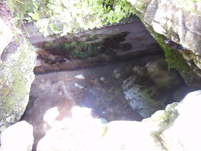 Mt. Tsurugi Spring-三好市必去景点