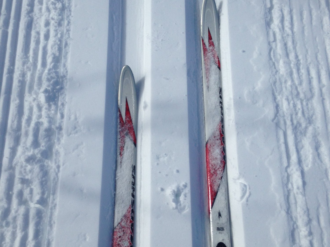 Falls Creek Cross Country-Falls Creek必去景点