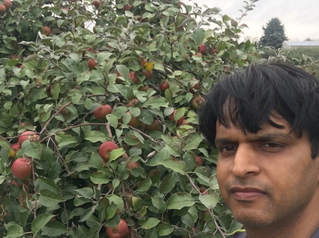 Aamodt's Apple Ochard-斯蒂尔沃特必去景点