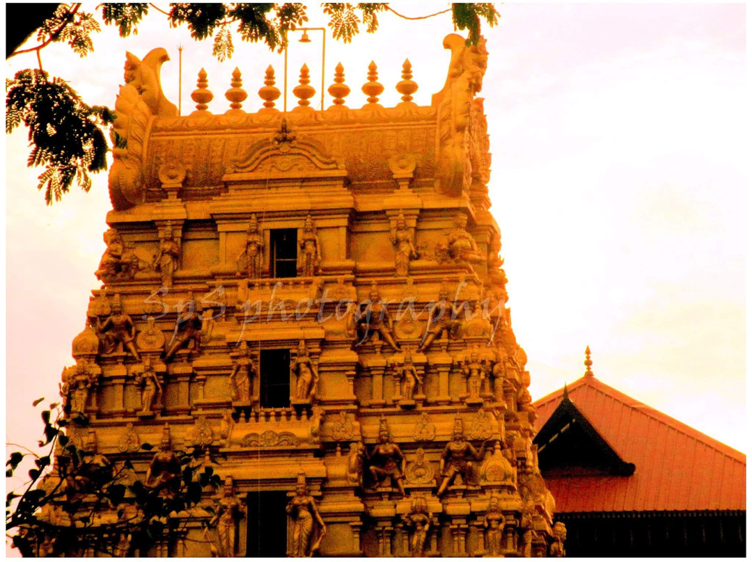 Palakunnu Sree Bhagavathi Temple景点图片
