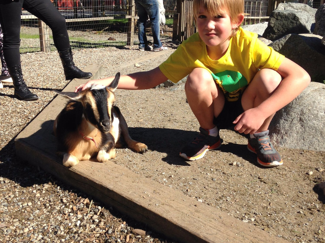 Maplewood Farm-北温哥华必去景点