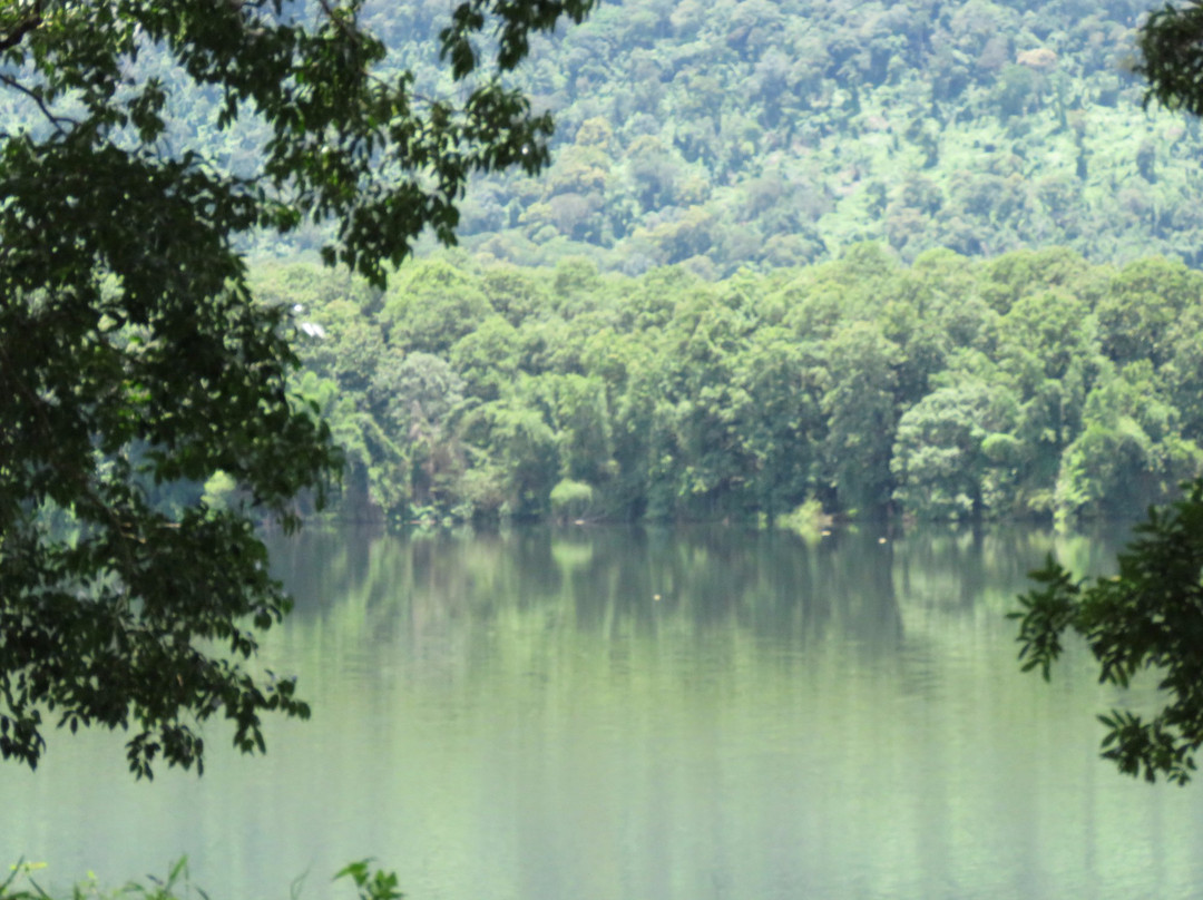 Thoonakkadavu Lake-孔巴托必去景点