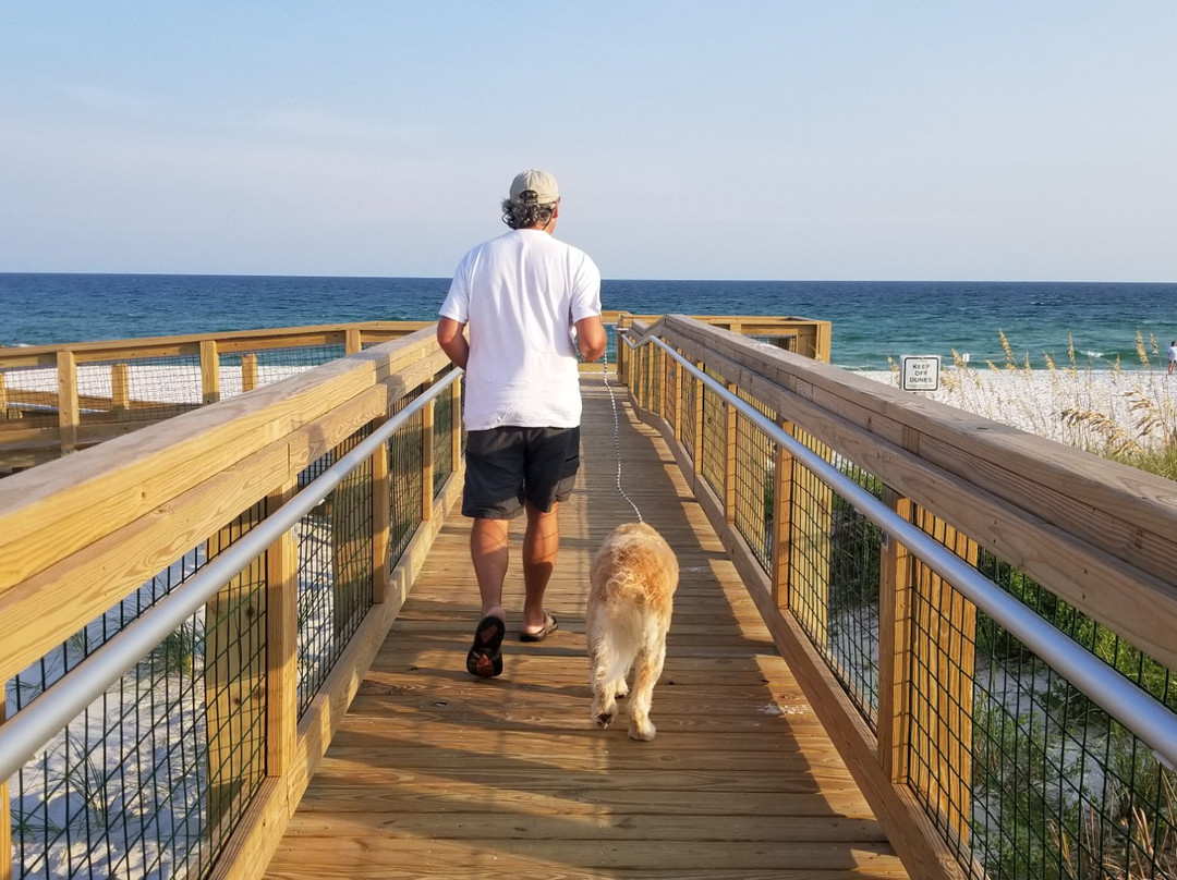 Pensacola Beach East Dog Park景点图片