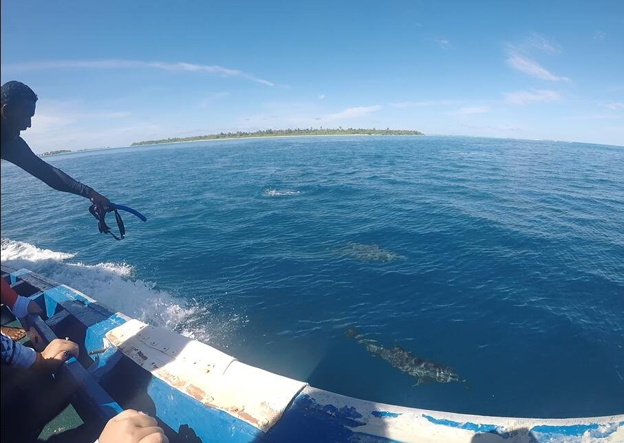 Euro-Divers The Residence Maldives-Falhumaafushi必去景点