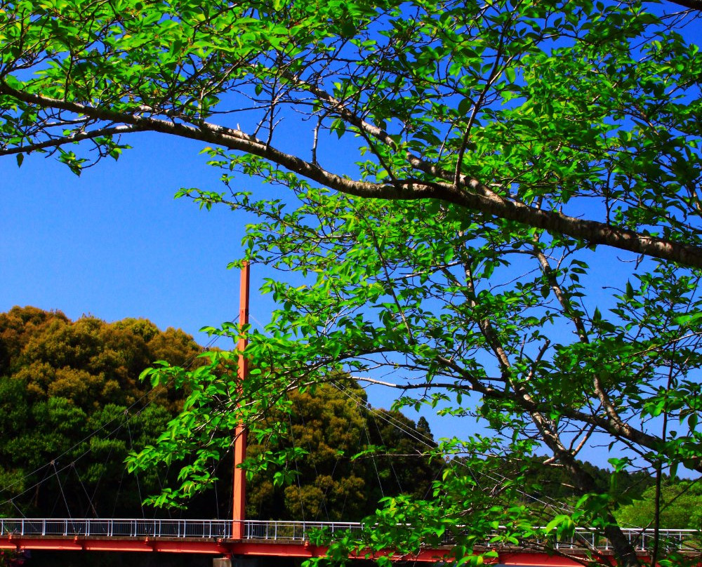 Kannonike Park-都城市必去景点