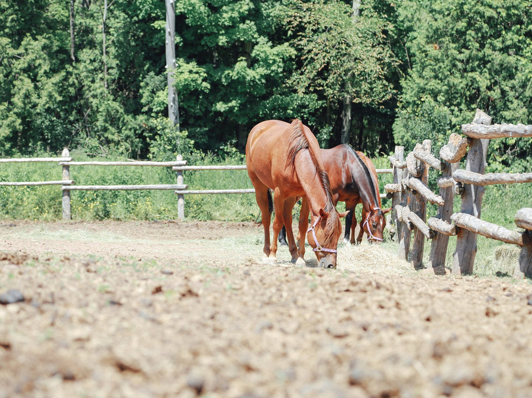 Fallbrook Trail Ranch-Georgetown必去景点