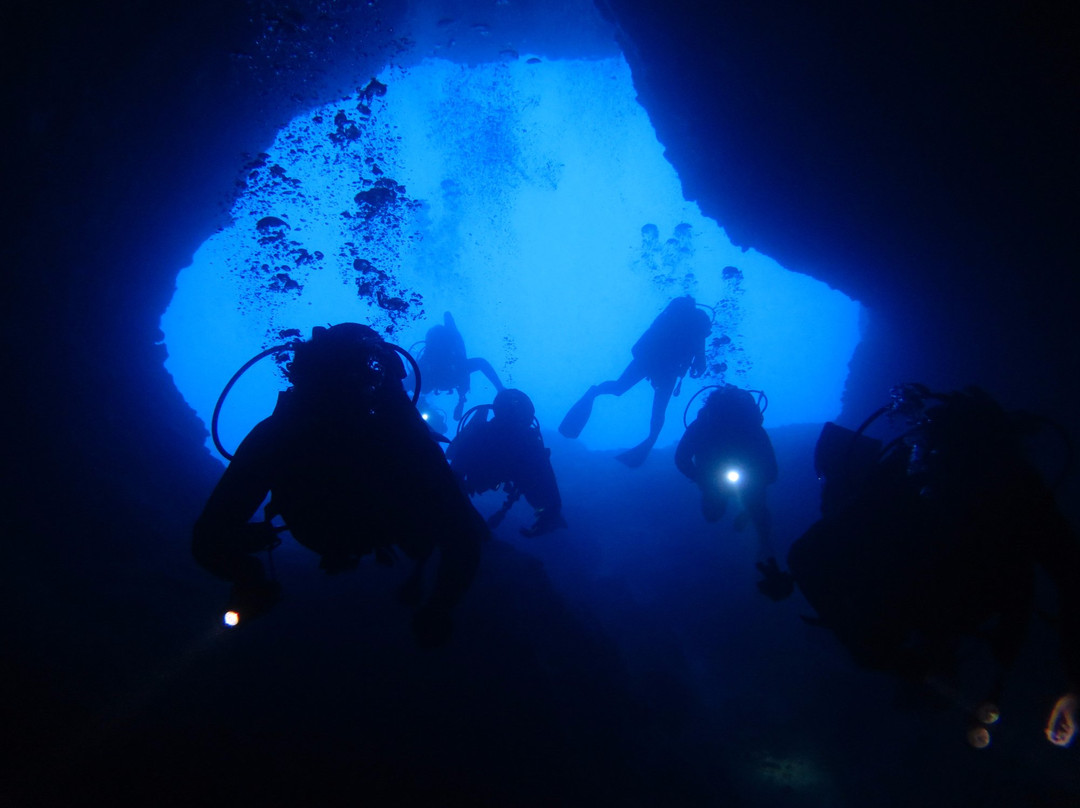 Evelin Dive Center景点图片
