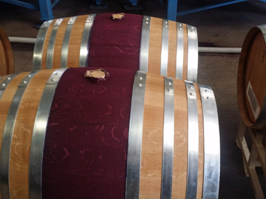 Pecan Creek Winery-马斯科吉必去景点