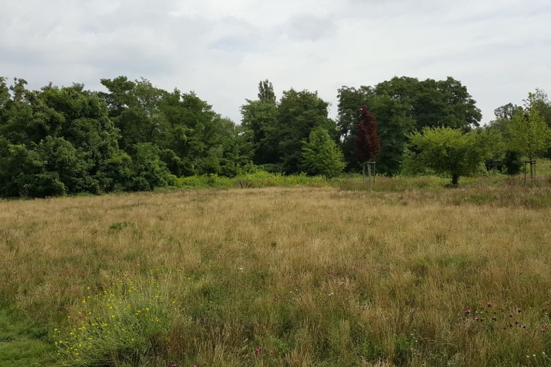 Bürgerpark Salineinsel-Schönebeck必去景点