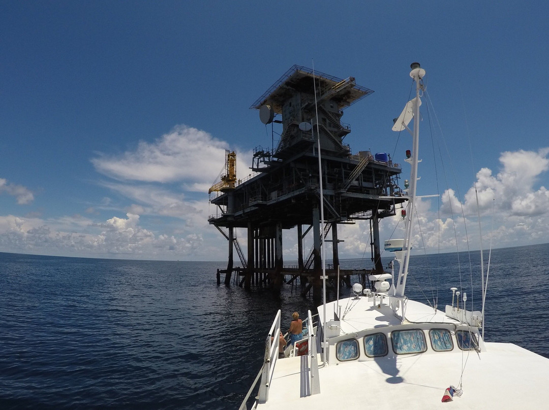 Fling Charters-Freeport必去景点