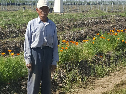 Tabitha Max Blueberry Farm-波特维尔必去景点