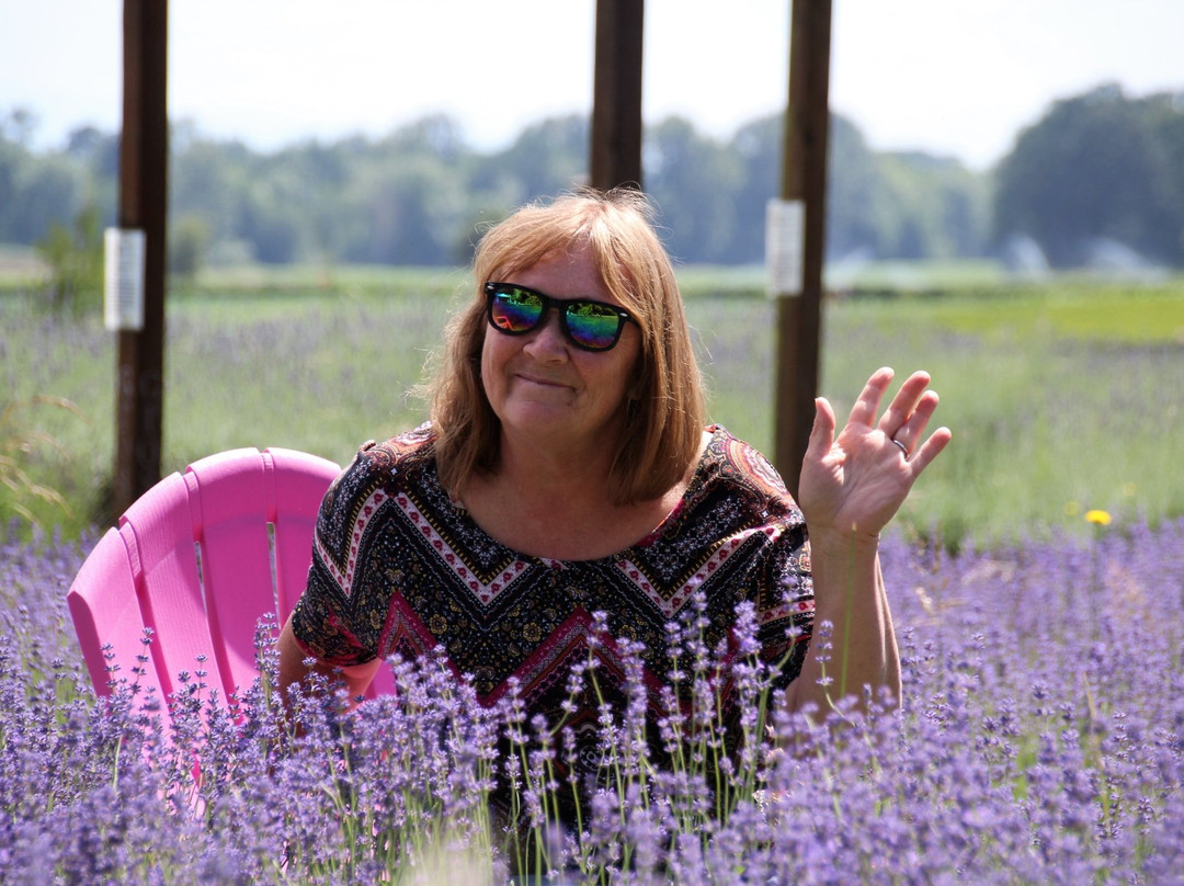 Sauvie Island Lavender Farm景点图片