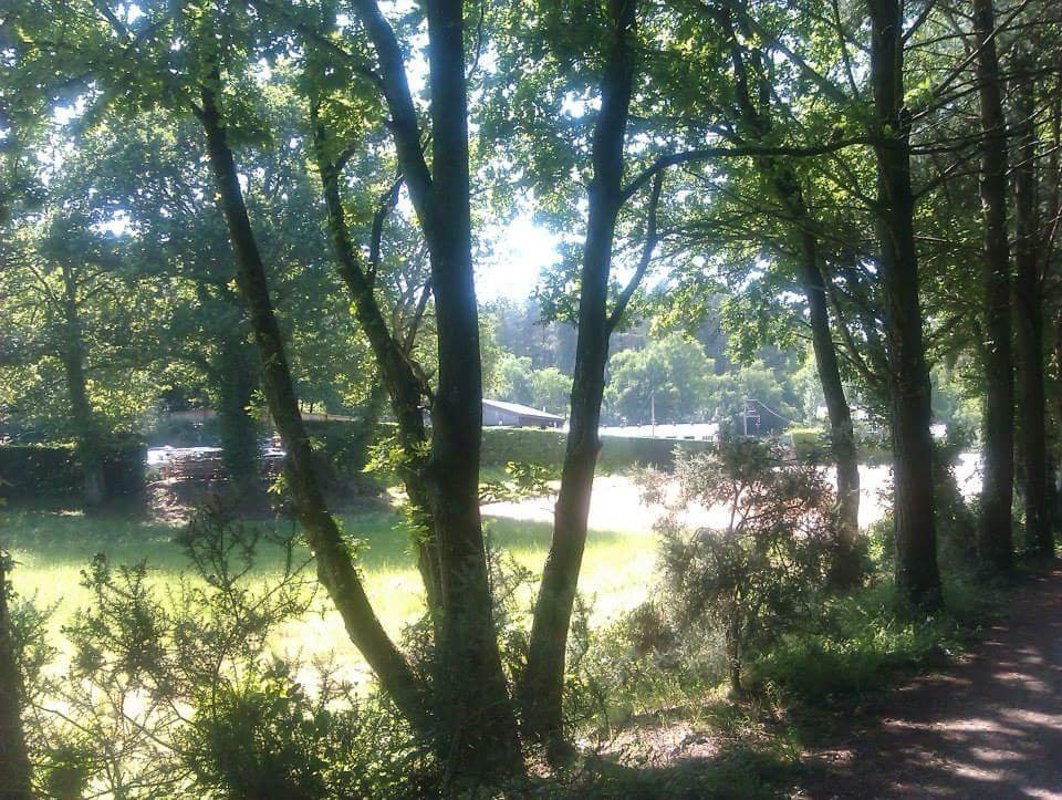 Castleman Trailway景点图片