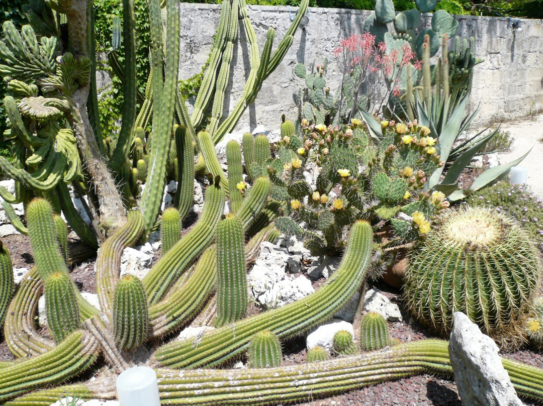 La Cutura Giardino botanico-Giuggianello必去景点