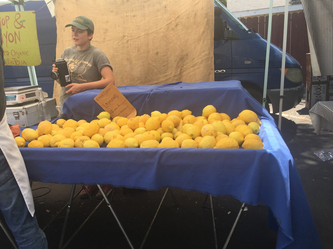 Ojai Certified Farmers' Market-奥海必去景点