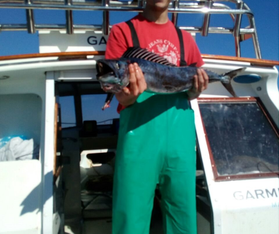 Out On The Bay Charters-St. Helena Bay必去景点