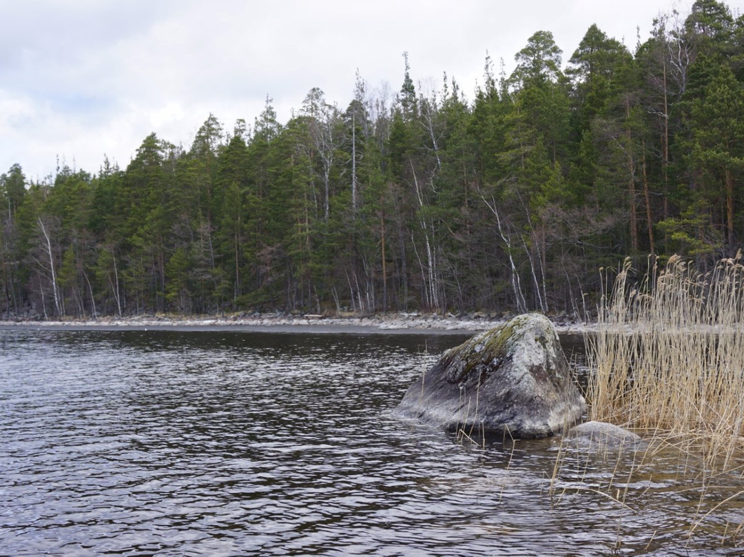 Malonsaari Island-Imatra必去景点