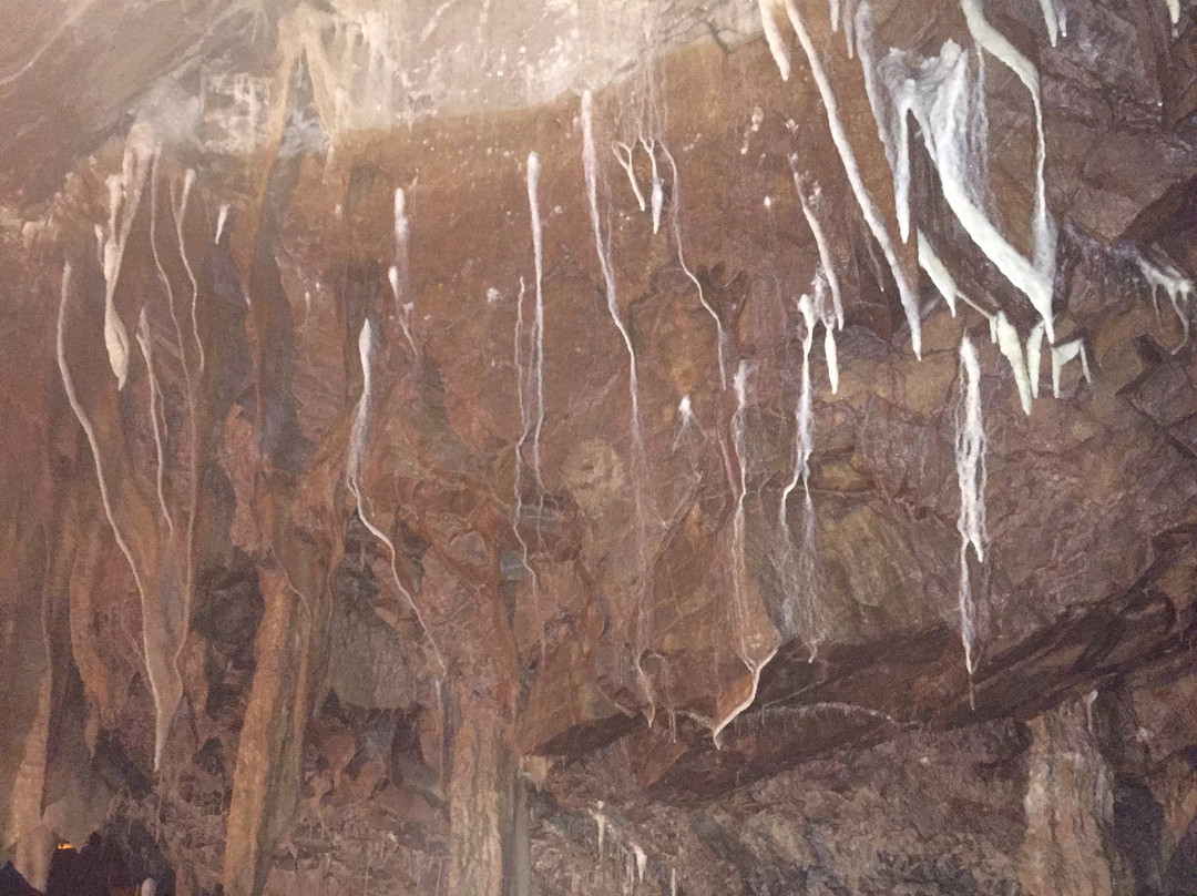 Thanasis Kalofolias VIP Transport-Elliniko必去景点