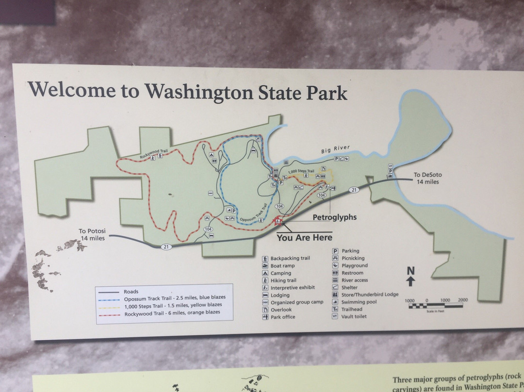 Washington State Park景点图片
