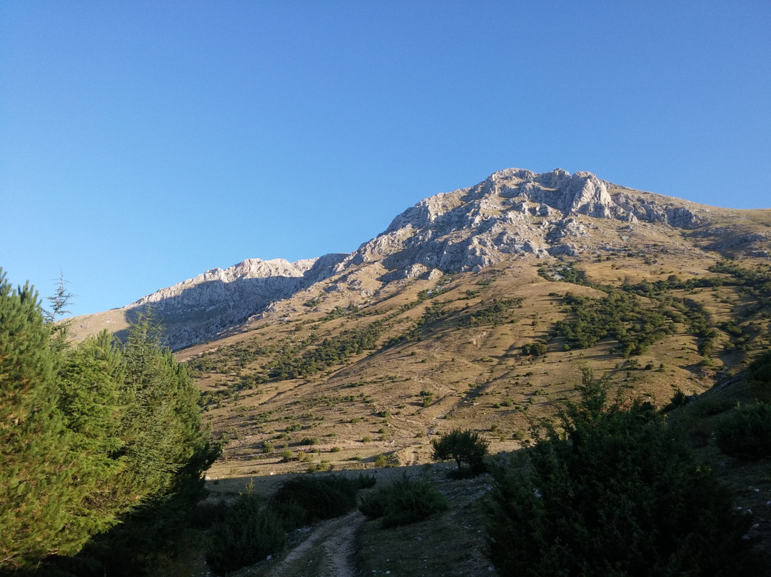 Riserva Naturale Monte Velino景点图片