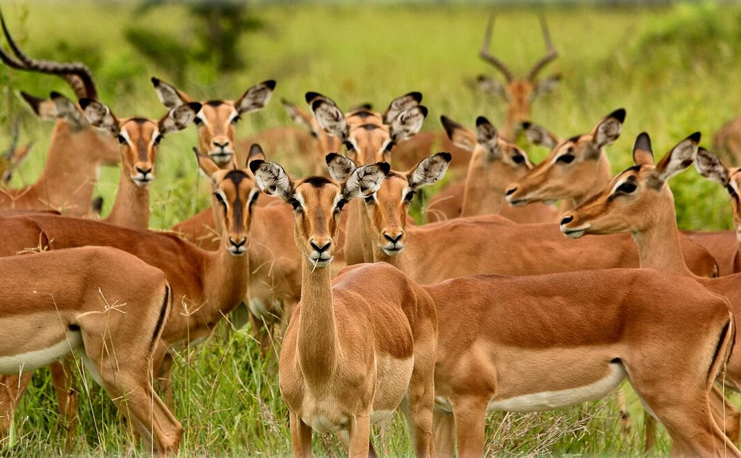 Kingfisher Gallery-霍德斯普鲁特必去景点