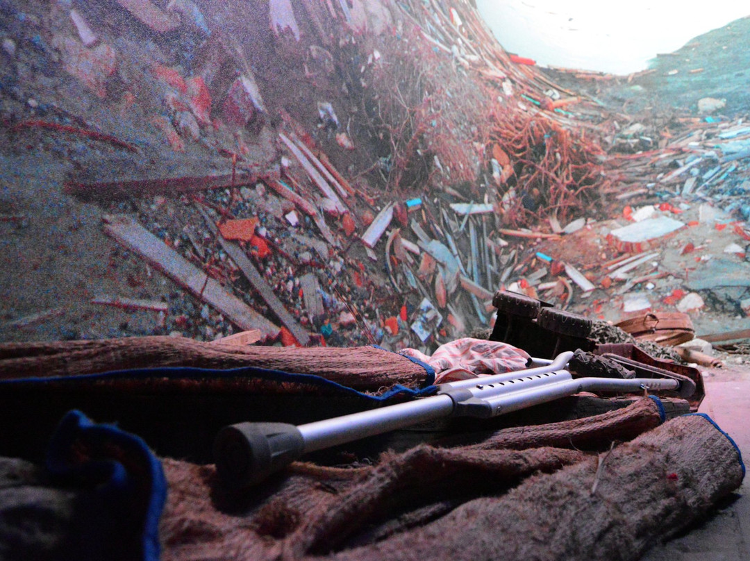 Real Life Exhibit Seattle-雷德蒙德必去景点