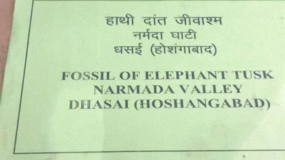 State Museum of Madhya Pradesh景点图片