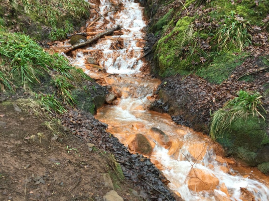 Blairadam Forest-Kelty必去景点