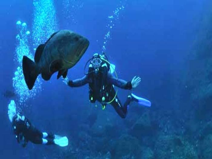 Les Maisons De La Mer主图