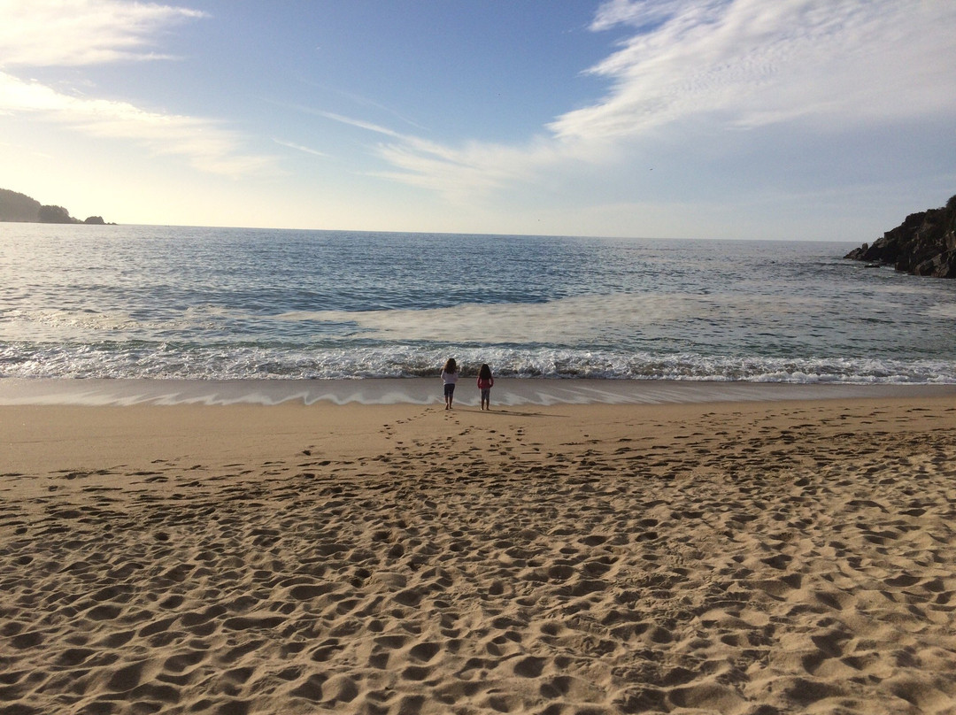 Playa de Pingueral-Dichato必去景点