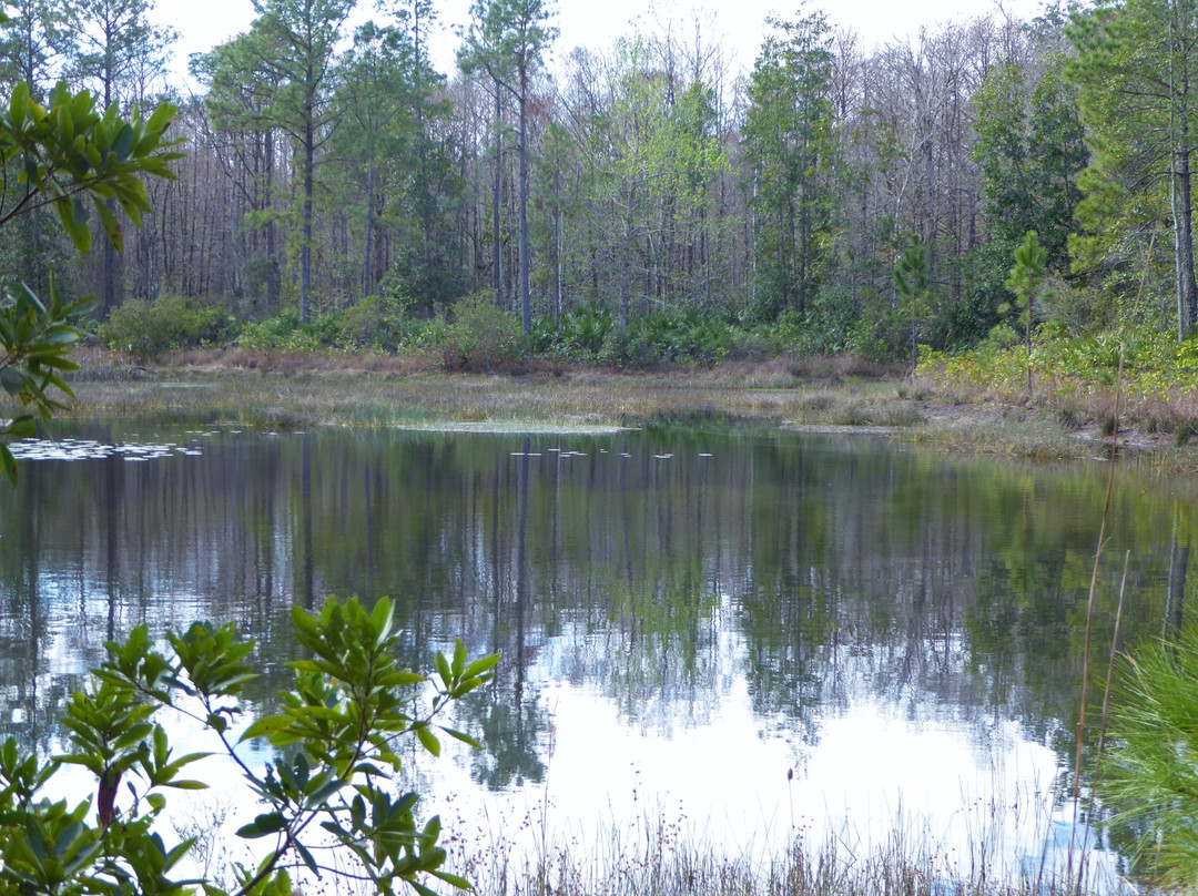 Little Big Econ State Forest-Geneva必去景点