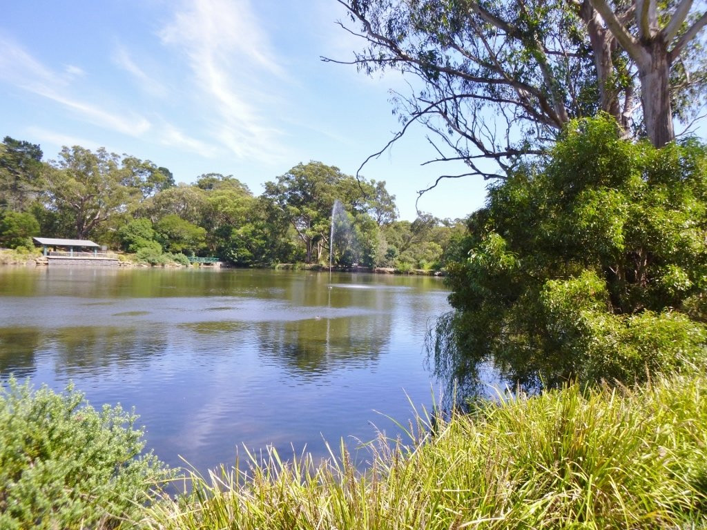 Mittagong旅游景点-Lake Alexandra Reserve