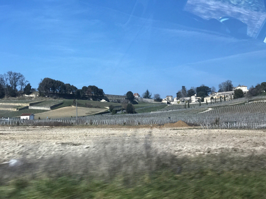 B Wine Tour-Le Pian Medoc必去景点