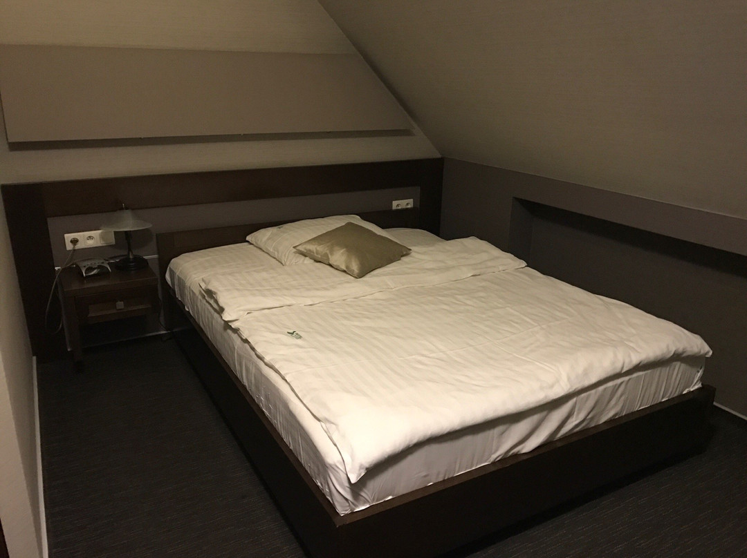 Hotel Salve主图