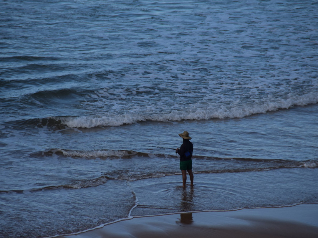 Tourist Drive 56-维克多港必去景点