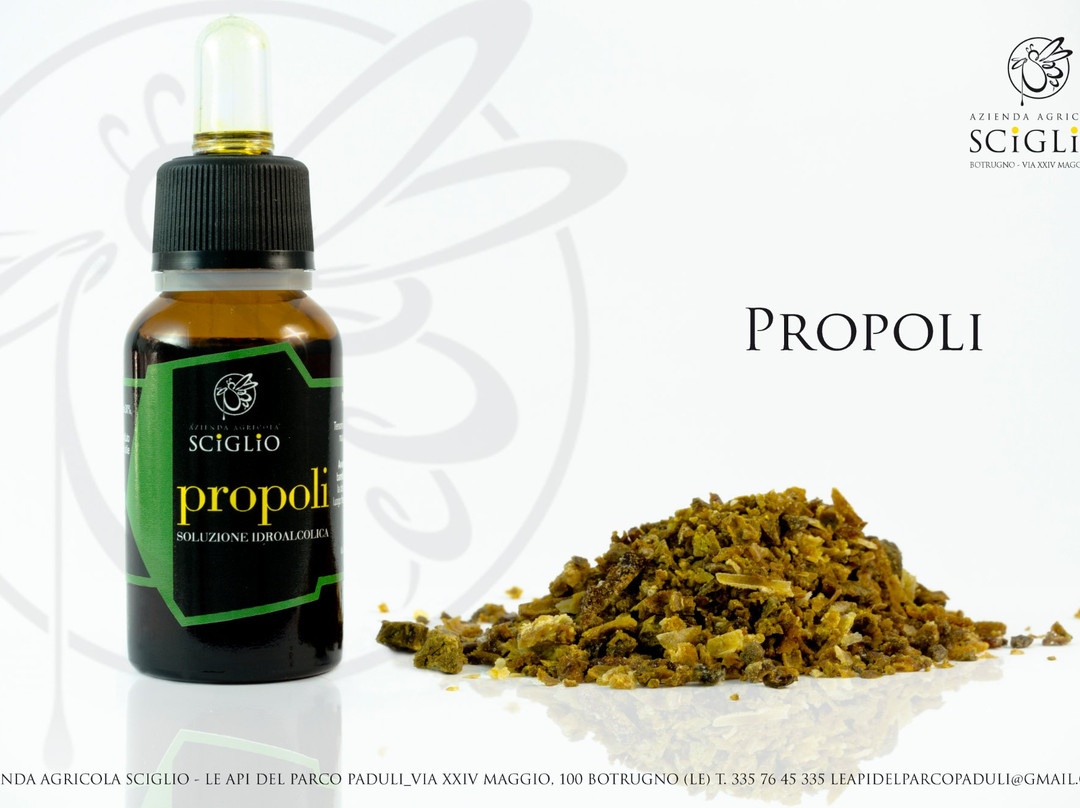 Azienda Agricola Sciglio - Le Api del Parco Paduli-Botrugno必去景点