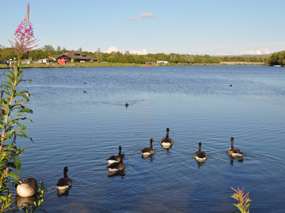 Parc Bryn Bach景点图片