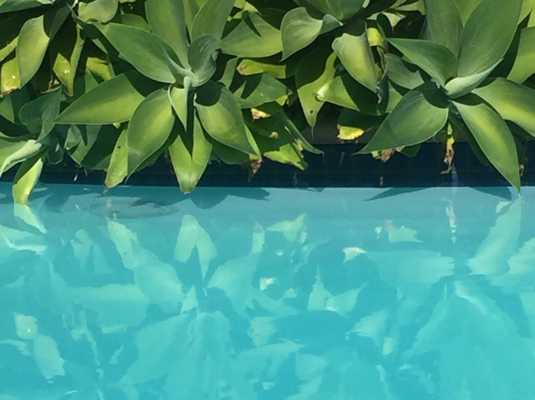 Vartamana Rereat主图