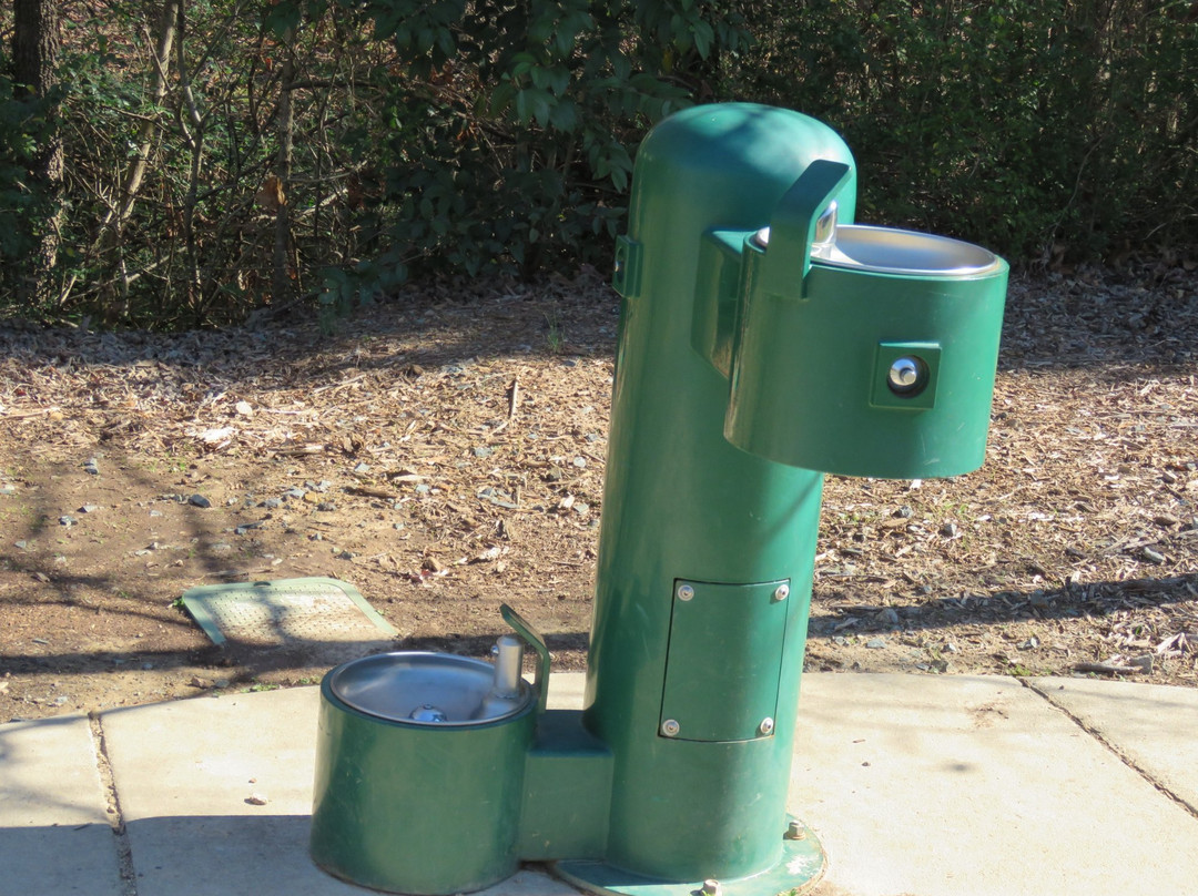 Fountain Rock Park-马修斯必去景点