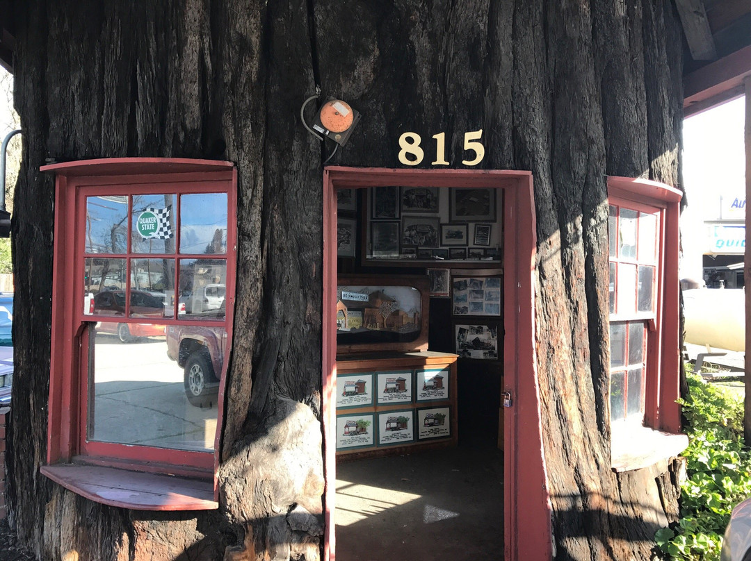World's Largest Redwood Tree Service Station景点图片