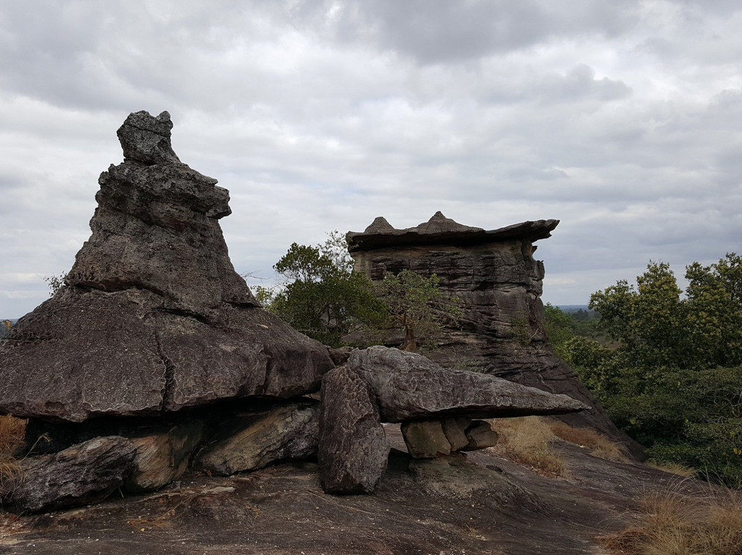 Phu Sa Dok Bua National Park景点图片