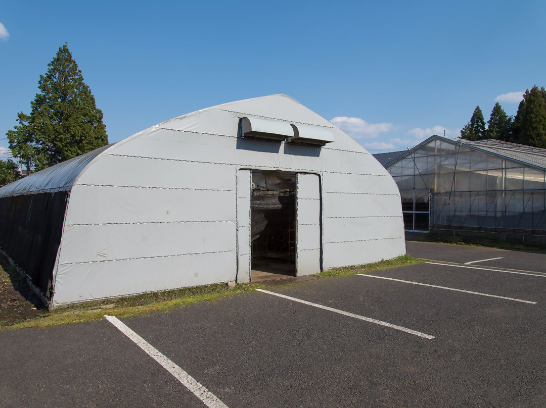 Sakurakinokoen-佐仓市必去景点