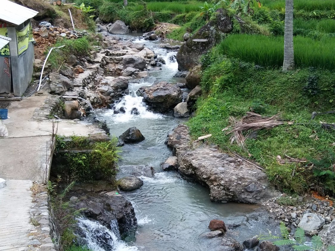 Tirta Husada Hot Spring景点图片
